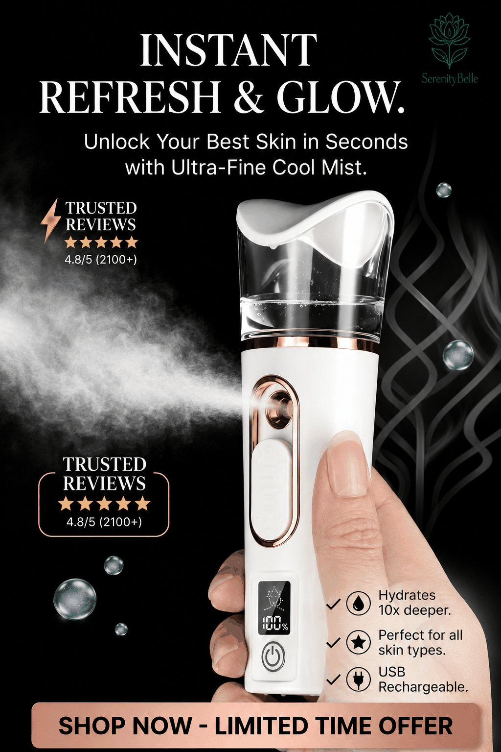 portable face steamer